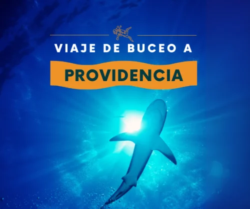 Buceo en providencia con Kanaua Adventures